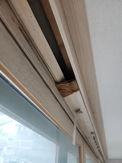 천장몰딩 수리 — 몰딩이 빠진 자리 가까이